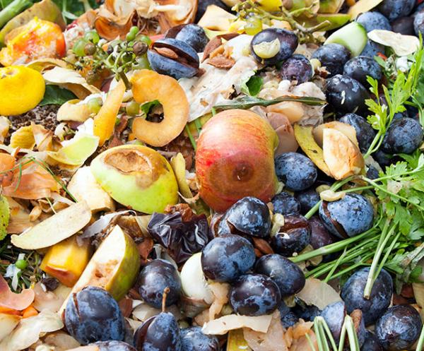 Food Waste Services