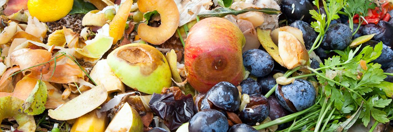 food waste header